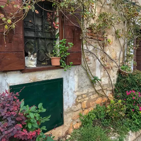 Charming In Heart Of *