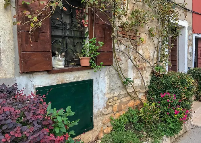 Charming In Heart Of *