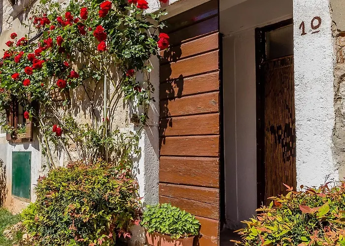 Charming In Heart Of Apartament *